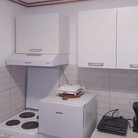 Sofiana Bajina Basta