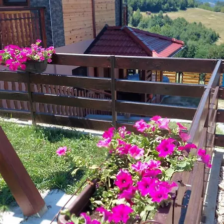 Sofiana * Bajina Basta